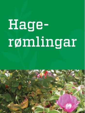 Hagerømlinger